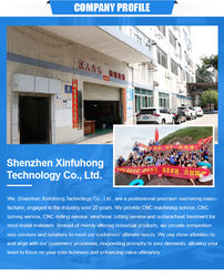 China Shenzhen Xinfuhong Technology Co., Ltd. Unternehmensprofil